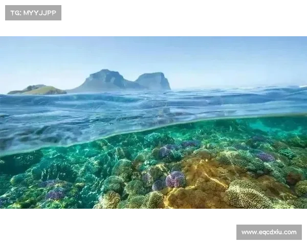 揭开古老世界神秘生物的五大秘密探索之旅揭示失落的传说与未知的奇迹 揭开古老世界神秘生物的五大秘密探索之旅揭示失落的传说与未知的奇迹