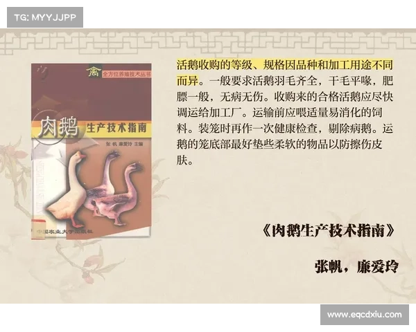 鹅鸭杀新职业全面解析与高效策略玩法提升指南 鹅鸭杀新职业全面解析与高效策略玩法提升指南