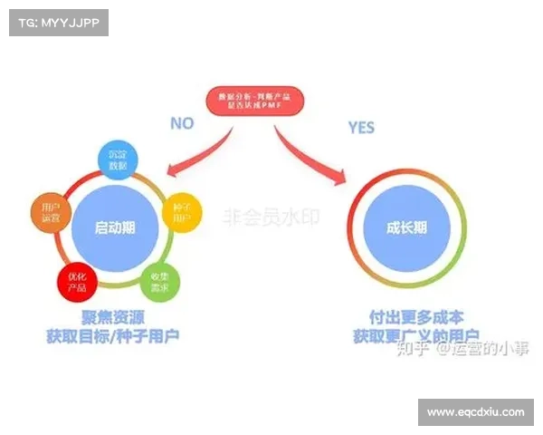 从品牌战略视角解析安联赞助商角色及其对企业全球影响力的助推作用